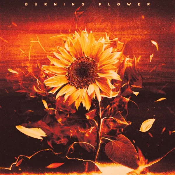 Обложка трека HANA - Burning Flower (2025)