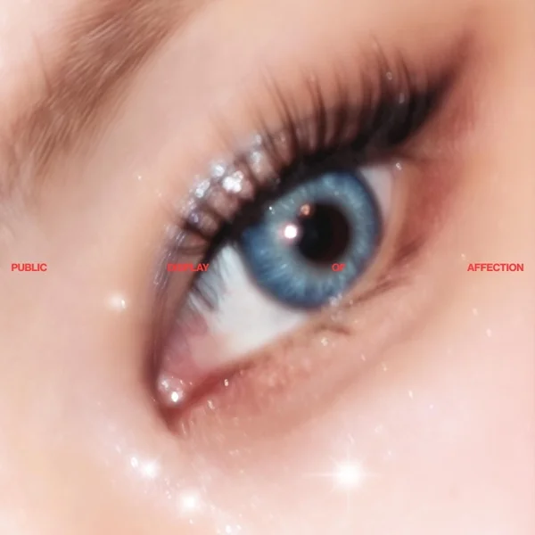 Обложка трека SOYOU - PDA (2025)