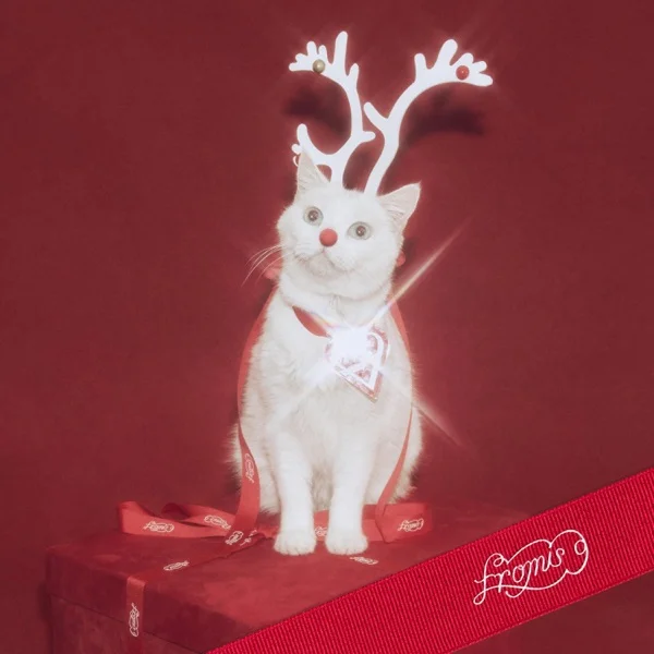 Обложка трека fromis_9 - White Memories (2025)